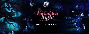 The Forbidden Night